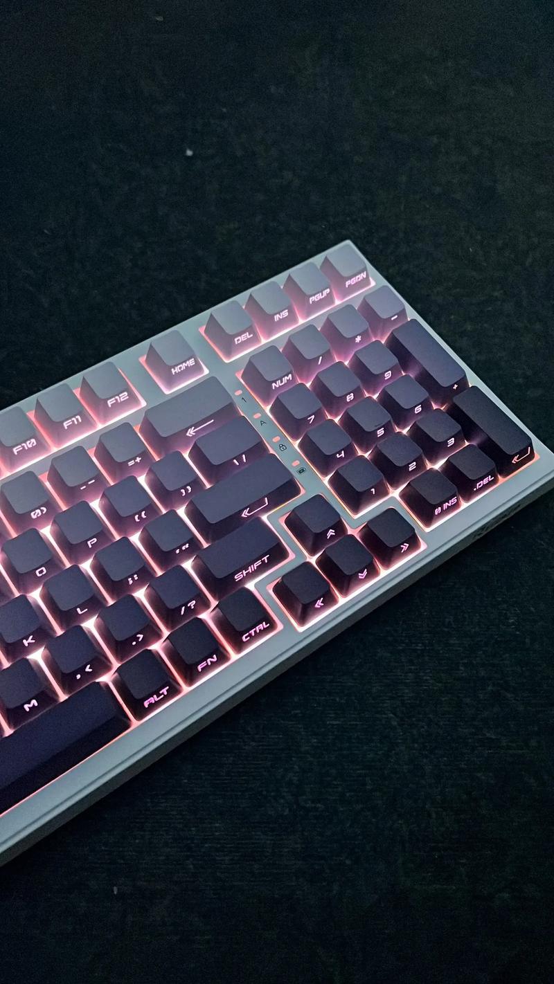 Tech enthusiast reviewing keyboard hardware