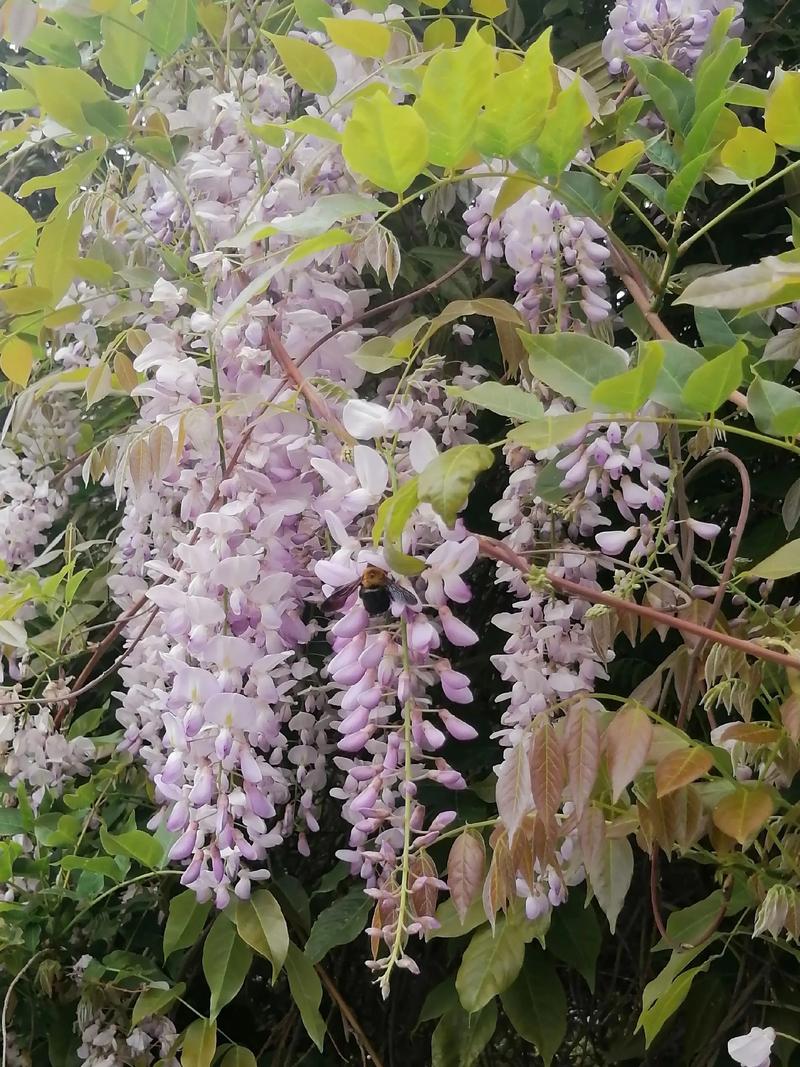 无线键盘电池续航表现