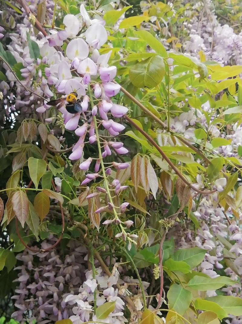 键盘低功耗散热设计