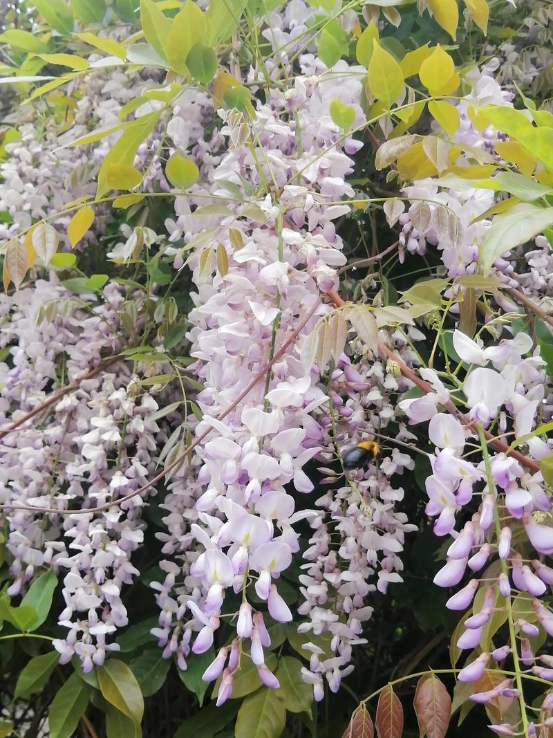 机械键盘购买决策场景