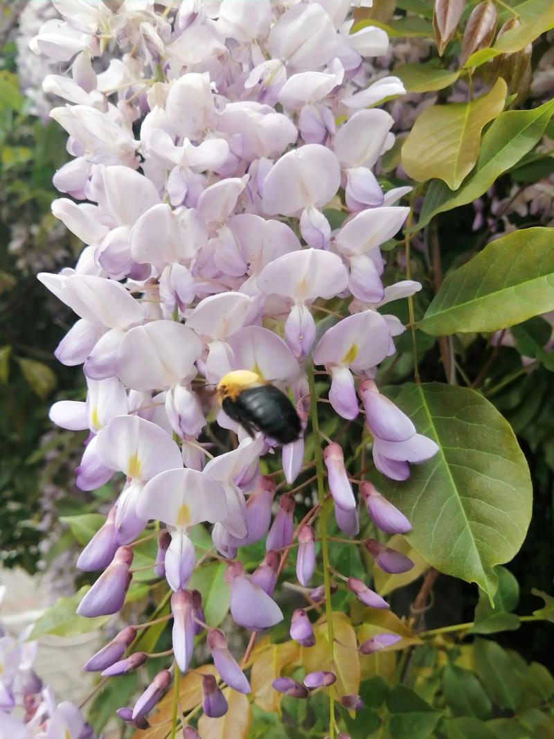 推荐无线机械键盘