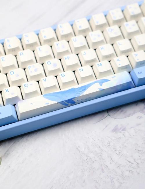 机械键盘打字动态