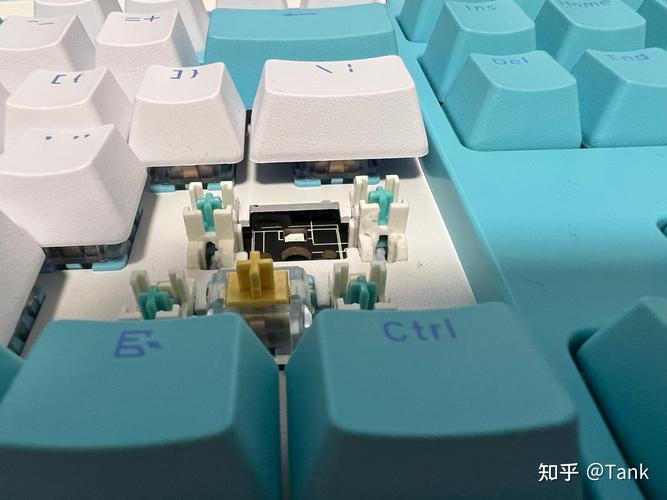 Mechanical keyboard internals and switches