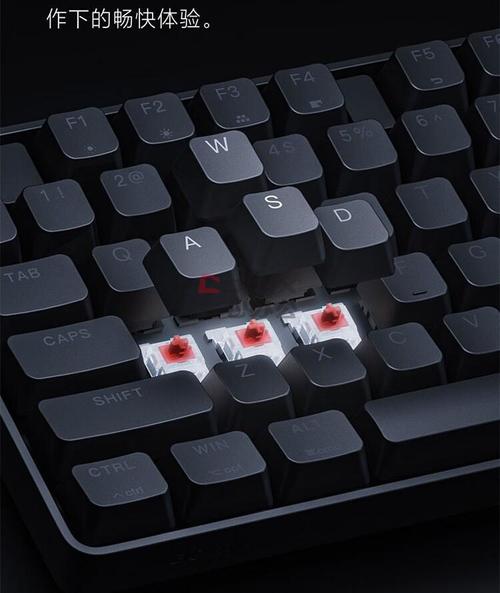 Detailed view of mechanical keyboard switches and backlighting