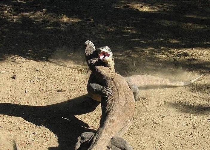 Empty PC case interior for build performance