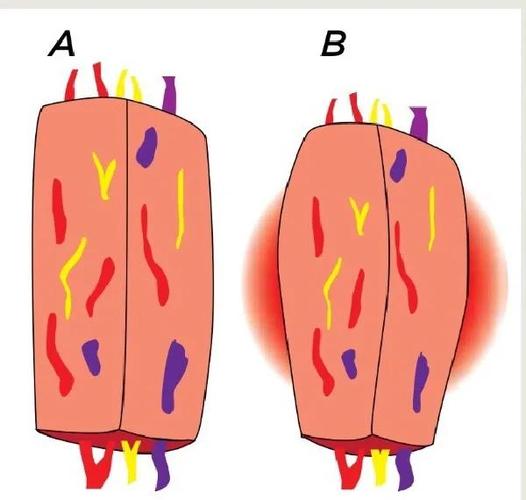 PC case with fans for cooling performance