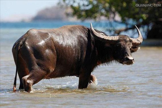 Recommended black PC case with glass panel