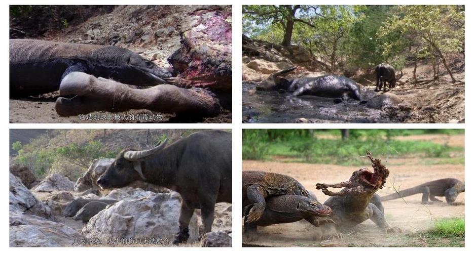 Lit up PC case interior performance view