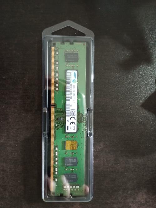 Computer cooling system and RAM module close-up