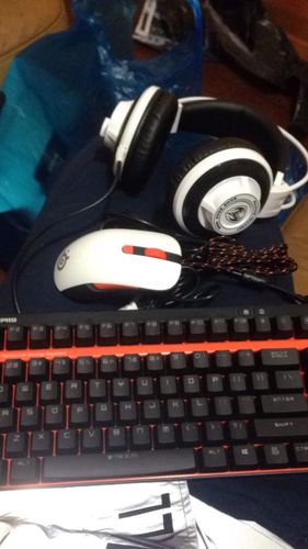 Gamer deciding on mouse purchase