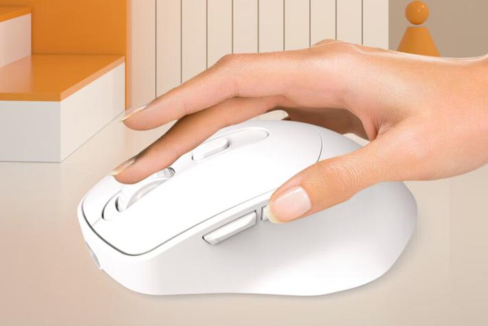 Person choosing mouse in store