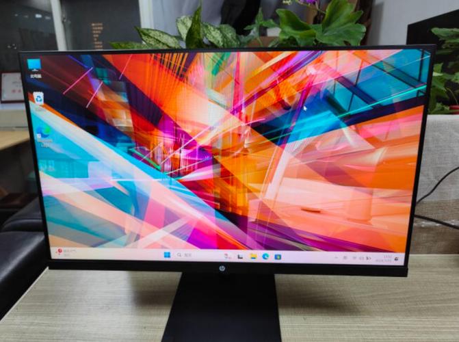 Recommended monitor in professional environment