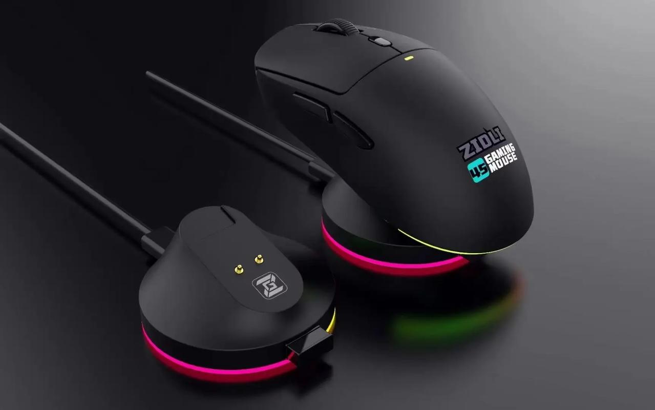 Black ergonomic mouse purchase decision