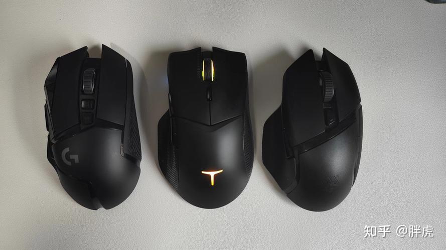 Gamer deciding on mouse purchase