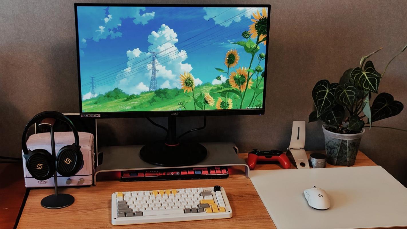 Player choosing gaming monitor