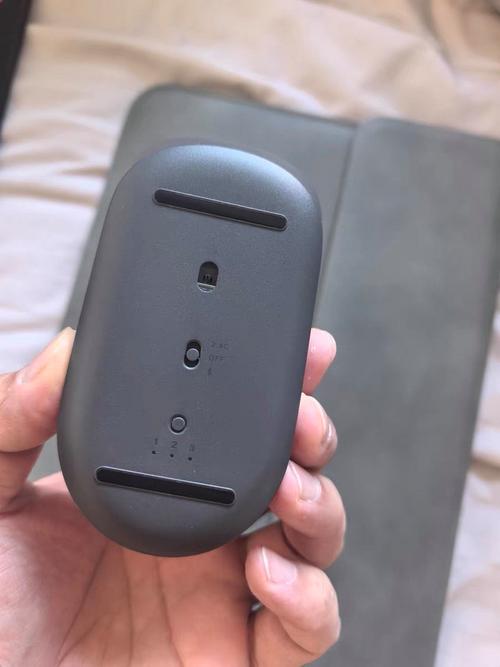 Wireless mouse in productivity workflow