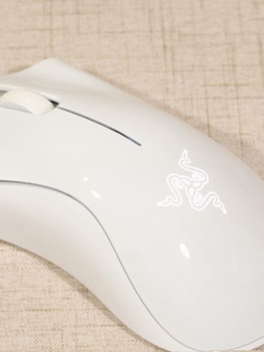 Gaming setup with classic black mouse