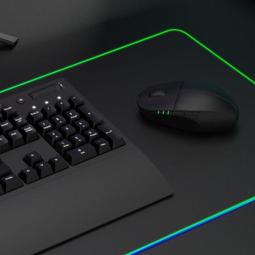 Gamer deciding on mouse purchase