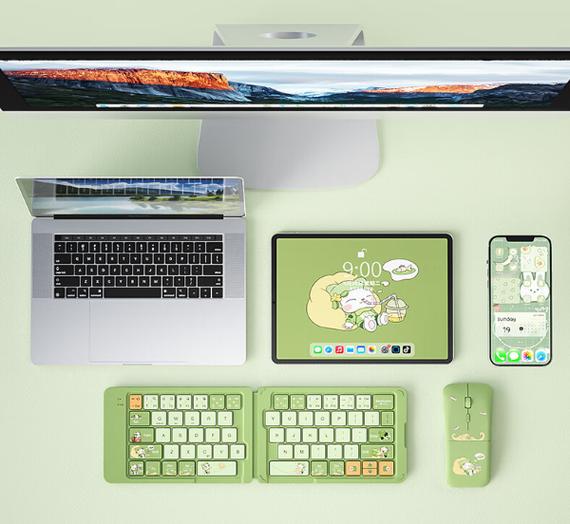 Computer peripherals including mouse technical view