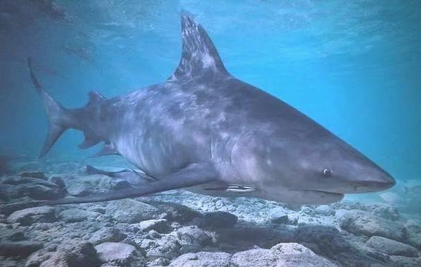 Mid tower computer case ready for build suggestion