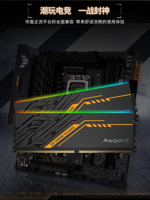 购买建议与硬件选购