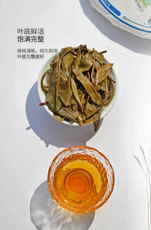 reccazr R68 凯华知冬轴评测:茶道人生下的客制化美学