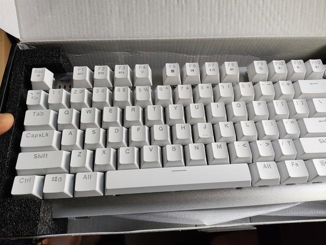 购物与产品选择