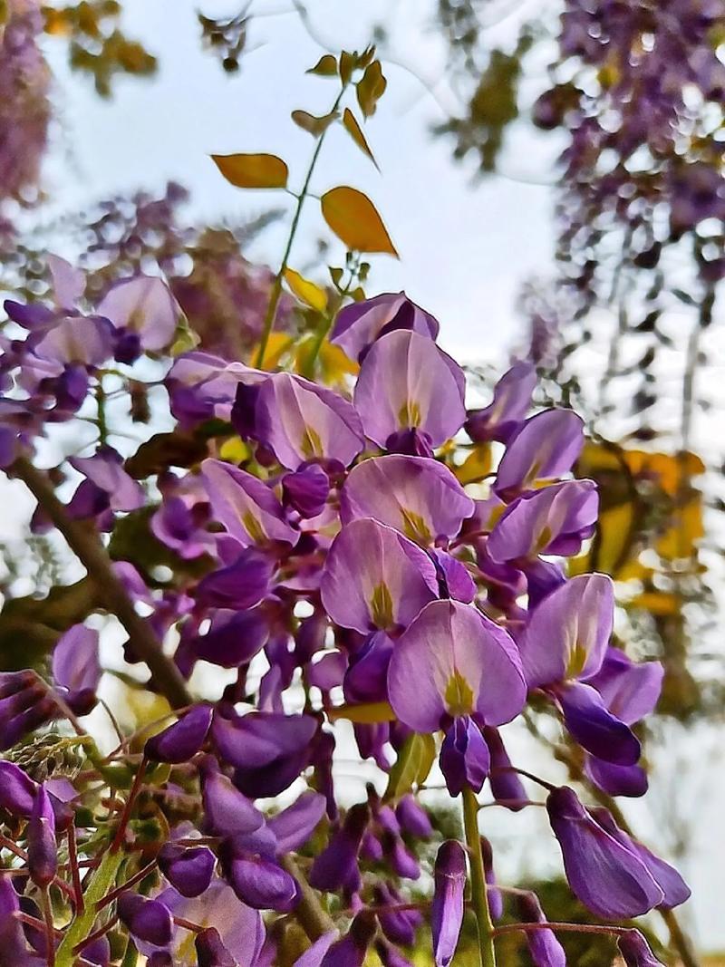 键盘电池与电路