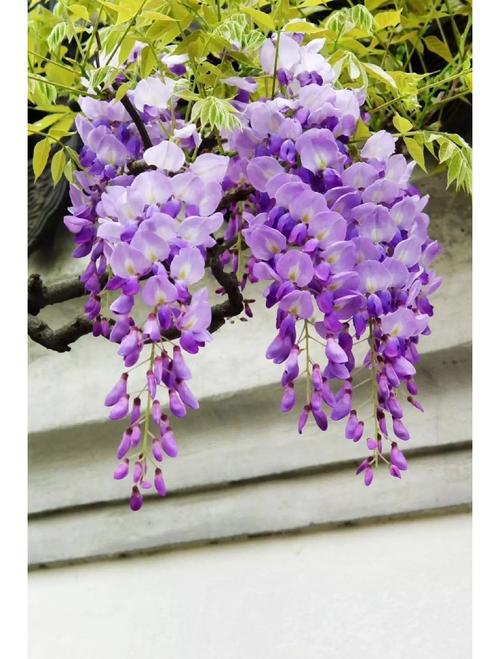 键盘电池与内部结构