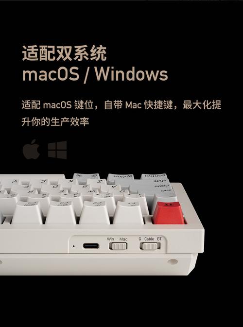 键盘内部结构与电池组件