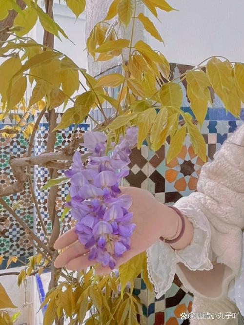 键盘电池与内部结构