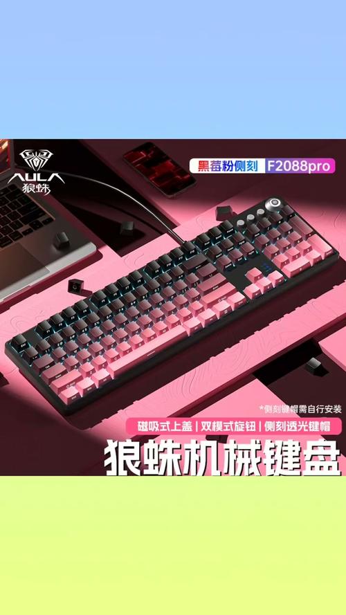 狼蛛F2098机械键盘深度评测:98配列下的全能性价比之选