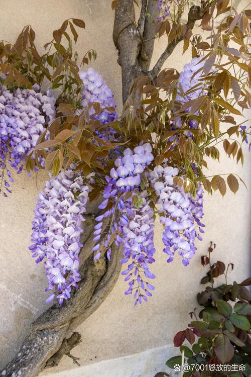 精致的桌面键盘配置