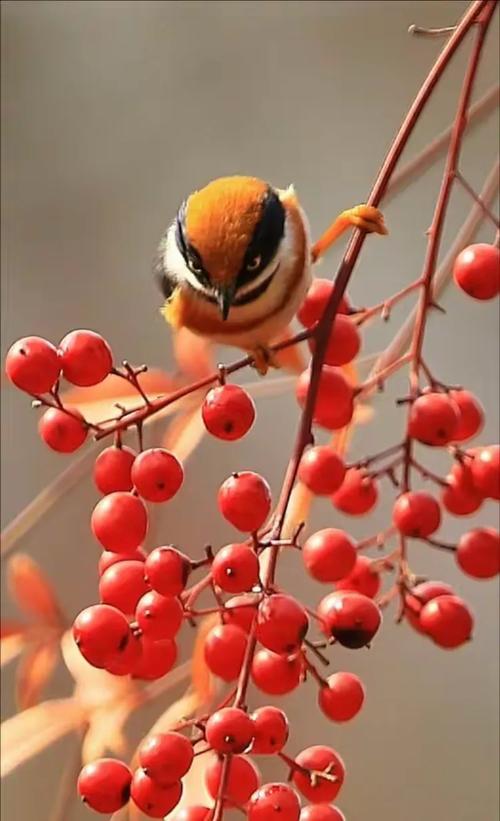 鼠标性能测试场景