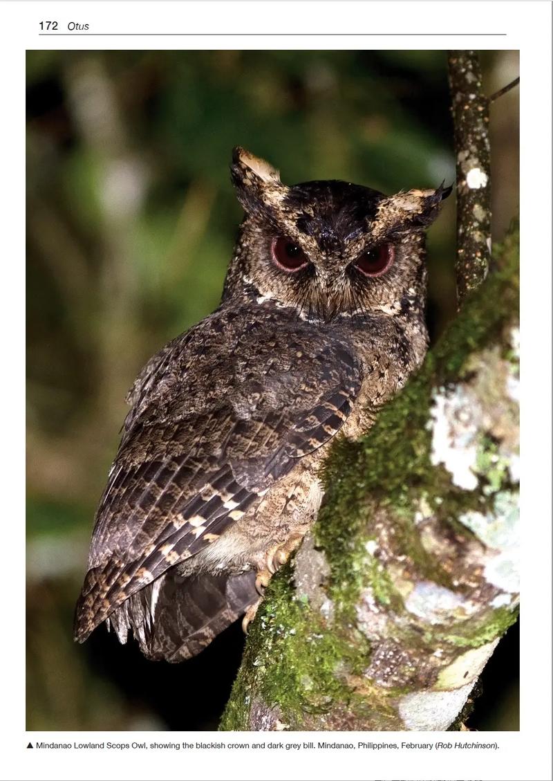 性能测试中的电脑设备