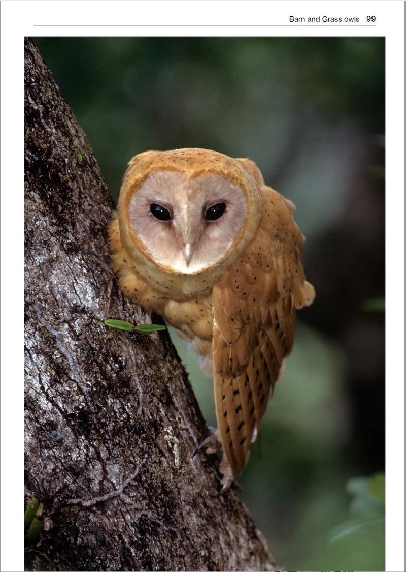 电脑测试与性能评测场景