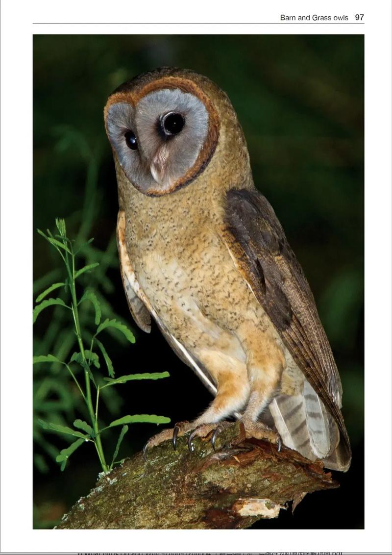 电脑内部与硬件规格相关图片