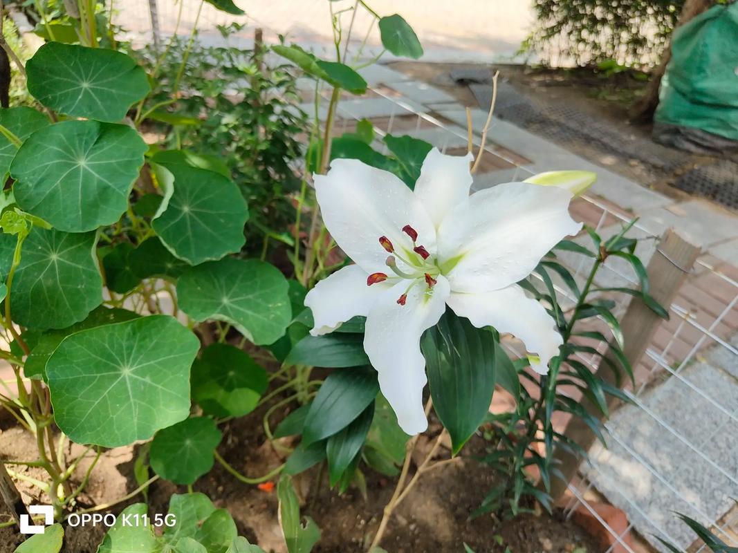 散热与硬件性能相关场景