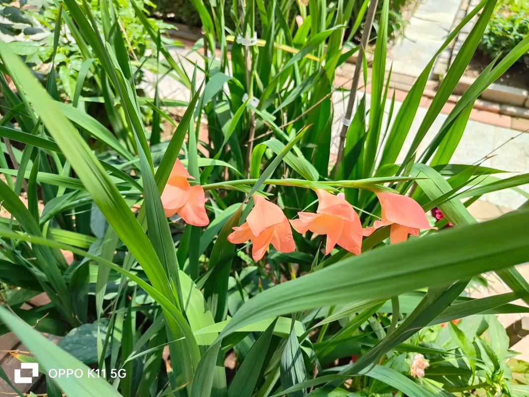 散热风道与硬件热管理