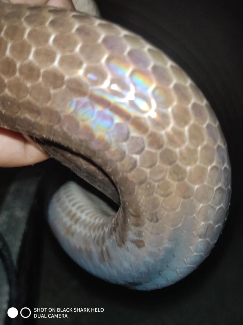 桌面电子设备与稳定运行环境