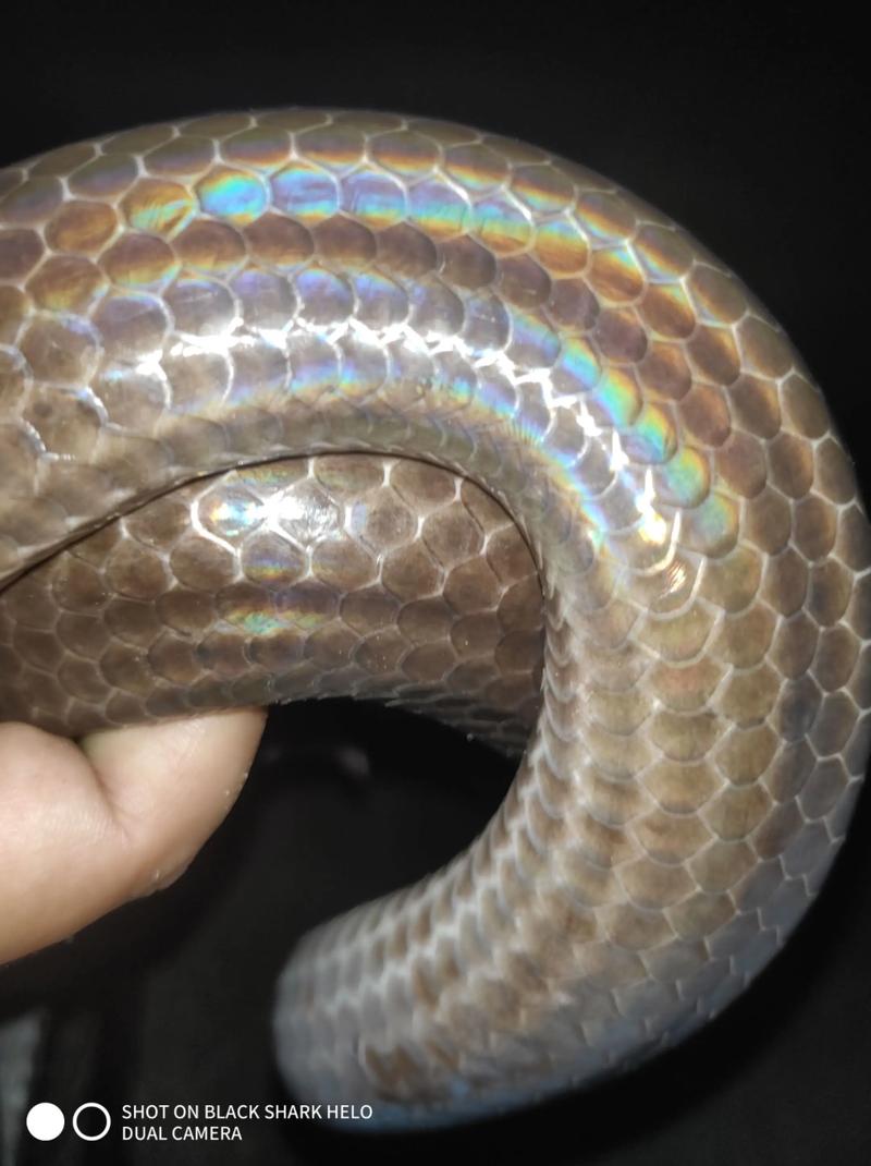 显示器用于工作和内容创作场景