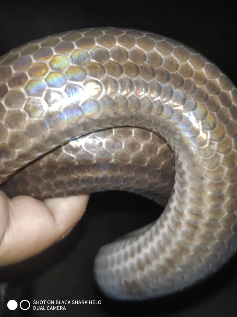 科技设备与散热相关场景