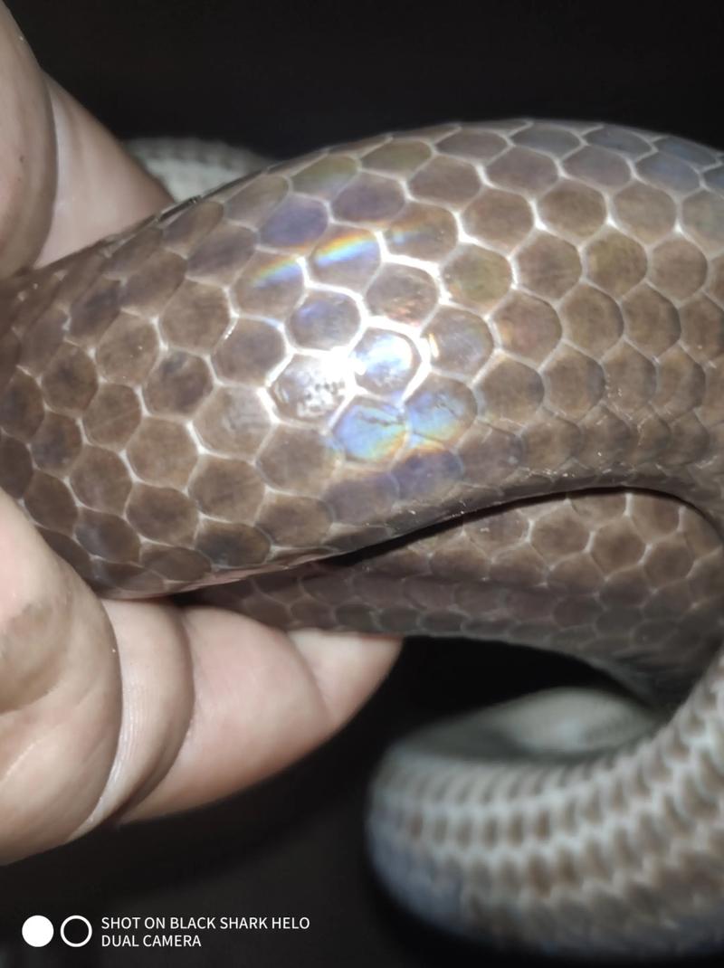 科技办公环境中的显示设备