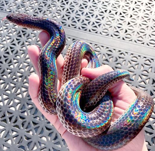 电子设备与屏幕硬件细节