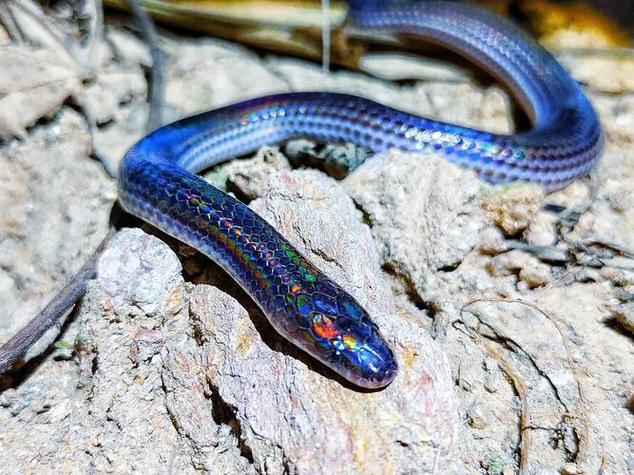 桌面科技设备与显示器外观