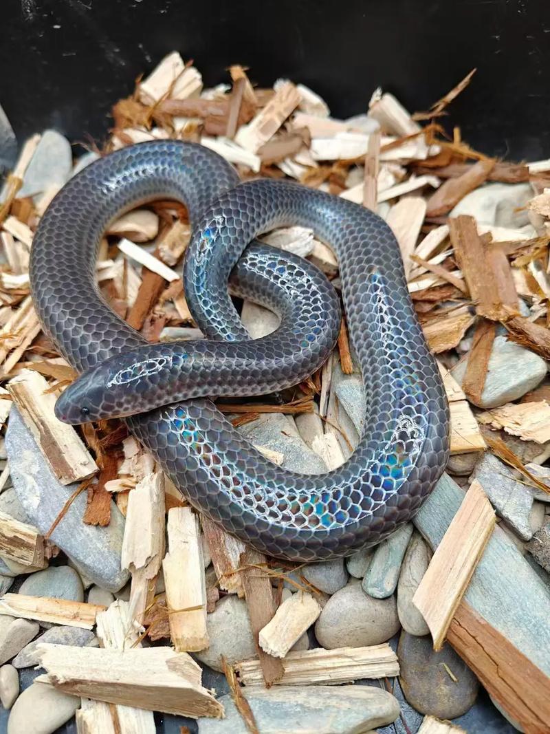 显示器面板与科技产品特写