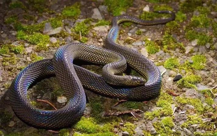 现代办公空间中的显示设备