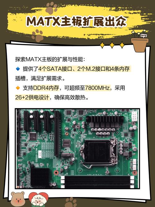 电脑装机与购买决策