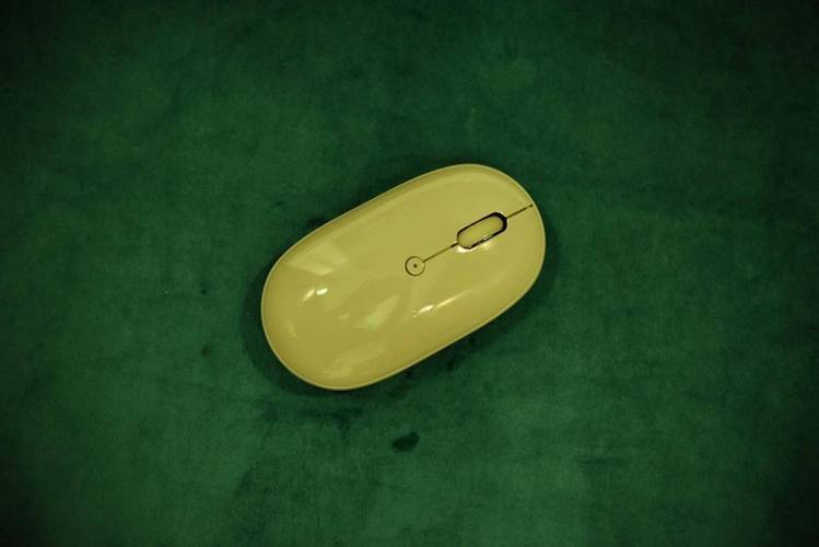 办公场景中的电脑使用