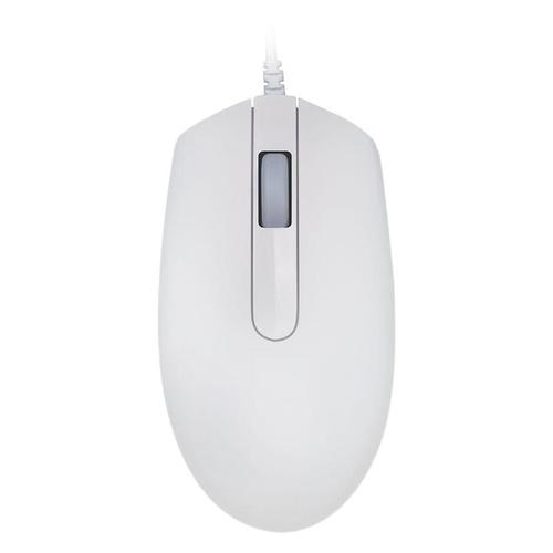 办公桌上的鼠标和键盘